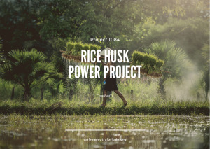 Carbon Neutral - Rice Hush Power Project